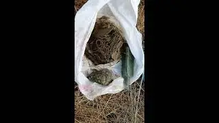 открытие сезонааа 2017