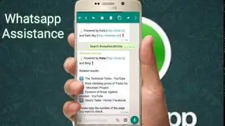 whatsapp assistance