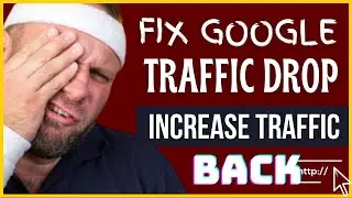 Google Traffic Drop: Fix it Now To Increase Organic Traffic 100%