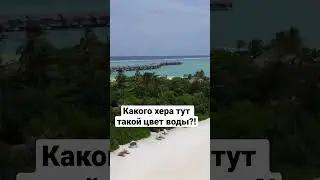 #цветводы#мадьдивы2023#тревел_заметки