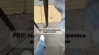 Навигатор покажет