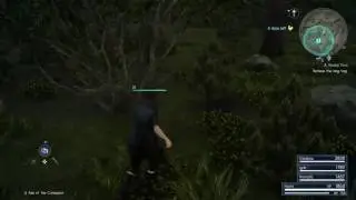 FINAL FANTASY XV A Rocky End, Dog Tag Location