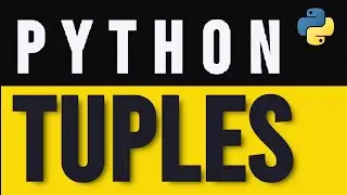 How to Create and Manipulate Tuple in Python (2024)