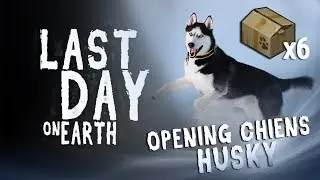 LAST DAY ON EARTH - OPENING CHIENS HUSKY !