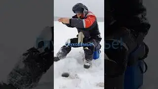 Глухозимье!! А клюёт как по первому льду!)))