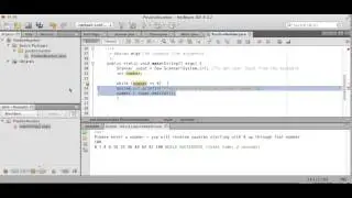Using a loop to validate input