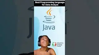 Best Programming Language for DATA ANALYST 