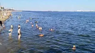 Пляж покорителей кишечной палочки 6.08.2023