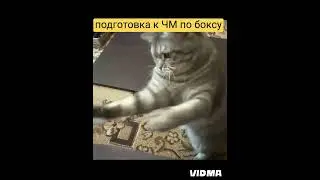 Мэри и Бокс