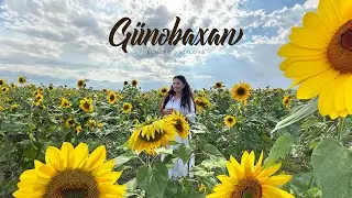 Elnarə Xəlilova — Günəbaxan (Rəsmi Musiqi Videosu)