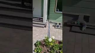 Есть конечно нюансы, но в целом 👍 