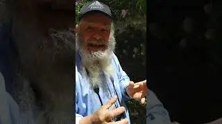 Juan Toyota y la Guerra