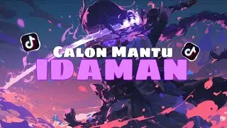 DJ CALON MANTU IDAMAN