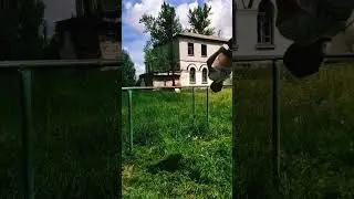 25 мая 2023 г.