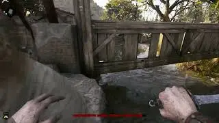 Hunt Showdown Getting Stuck Bug