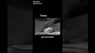 Перед дискотекой