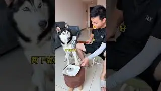 You started it by playing dirty, hahaha 