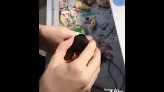 Вот так лже-имамы обманывают людей впихая им талисманы