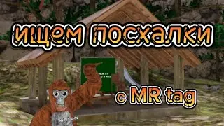 ищем посхалки в новом обновлении в |gorilla tag| cookie tag 🍪