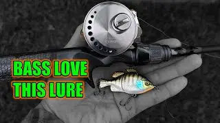 Pond Bass Goes Crazy For This Mini Swimbait