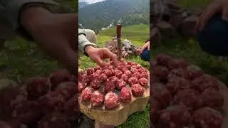 8 июня 2024 г.