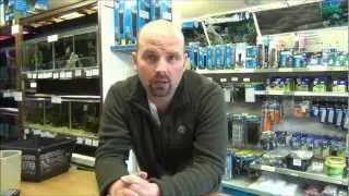 How to treat WHITE SPOT / Curing ICK (ICH) in an aquarium by Pondguru