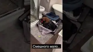 Алексей Жидковский. Смешного мало