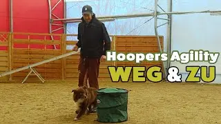 Hoopers Agility Basistraining | Weg und Zu