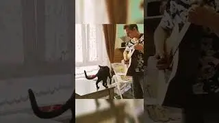 Для тех, кто не верит. Я кормлю кота 🐱🤘