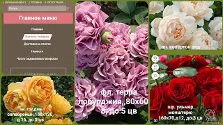 Весна 24😉😊. Обзор посылки с розами. Питомник Розомания🤩.
