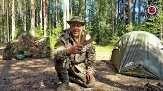Fat Wood Harvest For Survival | How To Find And Harvest In 2 Minutes