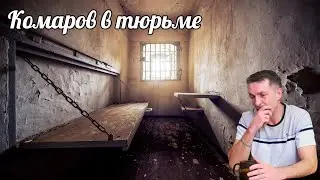СУД над каналом Свиньи как Бизнес