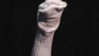 Sock Puppet Porn