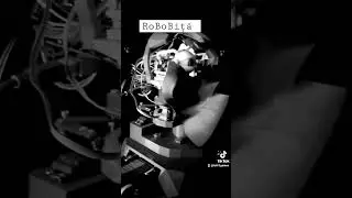 RoBoBiță openAi robot #openai #robot #robobițā