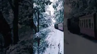 So Beautiful Nature Video #shorts