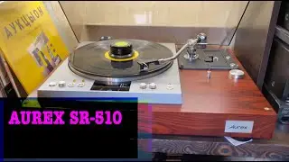 Aurex SR-510: слушаем АукцЫон «Профукал/Падал/Внутри Собаки»