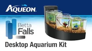Aqueon | Betta Falls - Betta Desktop Aquarium Kit
