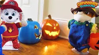 🔴Paw Patrol Baby Pup Halloween Toy Learning Video for Kids!🔴