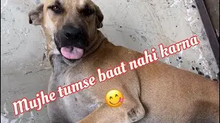 Aaj mood nahi baat karne ko 😩 #vlog #youtube #viral