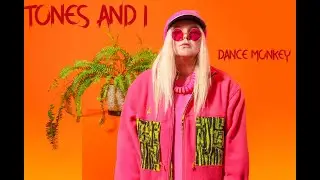 TONES AND I - DANCE MONKEY (COVER BY THE PITCH GUY)