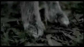Когда тебя достанет!
