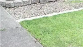 Landscaping : How to Edge your Front Yard