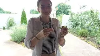 Все так душевно....Кто Все Напутал