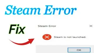 How to fix Error Steam is Not Launched