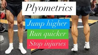Follow along PLYOMETRICS for ALL ATHLETES! | Turn your legs into springs