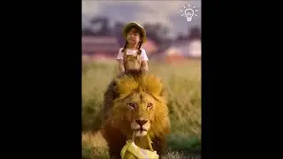 Супер-эффекты видео-фото монтажа