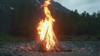 Quinkillada - 24/06 (Lyric-vídeo oficial)