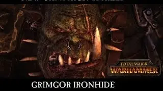Total War WARHAMMER.Орки-орки-орки! # 3