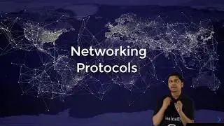 What are the types of Networking Protocols