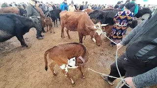 ХОРАЗМ БОГОТ ОНА БОЛА НАРХЛАРИ КАНДАЙ БУЛЯПТИ 27.МАРТ